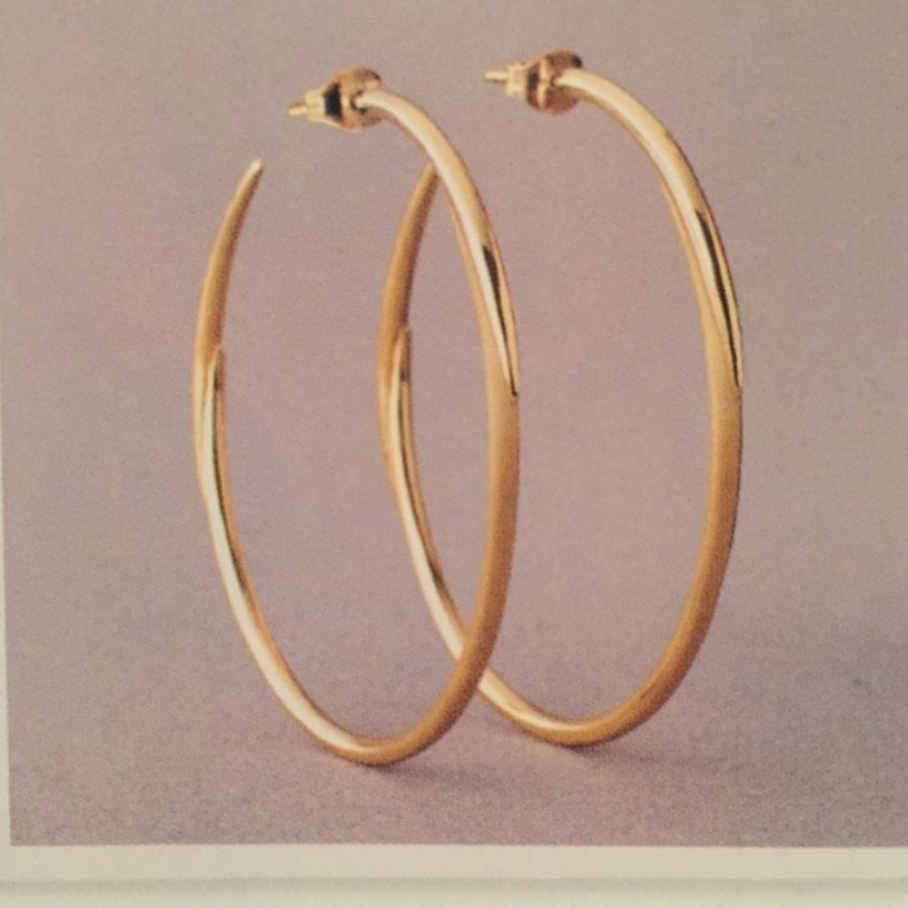 Stella & Dot Signature Hoops